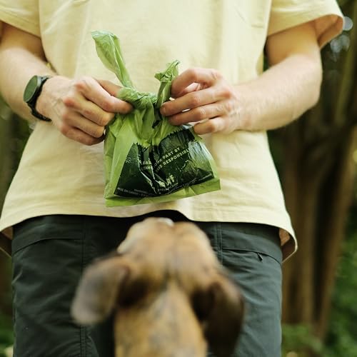 Beco Starke und große Kotbeutel – 270 lose verpackt mit Griffen zum Binden – Boxspender – Minzduft Hundekotbeutel