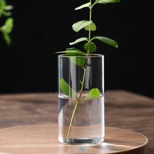 Vv KX ԕr ~` NA  Ȃ t[x[X  ֑}  傫 ^ ~^ L  V_[ ~ 10cm 12cm 15cm 20cm 25cm 30cm CeA   rO v[g