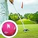 Aymzbd Golf Ball Golf Practice Ball 2.36inch Stylish Resin Golf Ball Golf Accessories for Prize Souvenir Course Kids Adults Gifts, Pink White