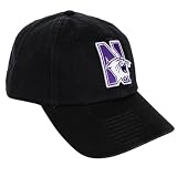 Desert Cactus Northwestern University Baseball Hat Embroidered (F-Black)