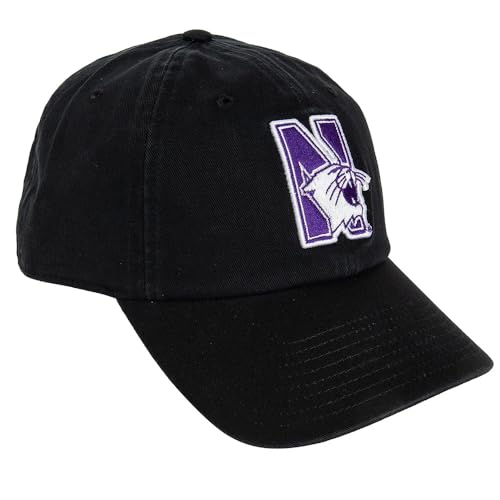 Desert Cactus Northwestern University Baseball Hat NU Wildcats Brimmed Embroidered Hats Cap Adjustable Cloth Strap Adult (Style F) Black