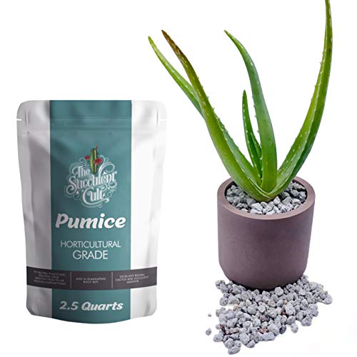 Horticultural Grade Pumice (2.5 Dry Quarts) - Bonsai, Cactus, Succulent Soil Additive - Eliminate Root Rot - Ready To Use, By The Succulent Cult #TOP2