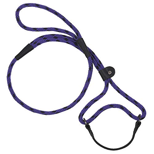 Mendota Pet Dog Walker, Martingale Style Leash - Leash & Collar Combo, Made in The USA - Black Ice Purple, 3/8 in x 6 ft - (Small/Medium Breeds)