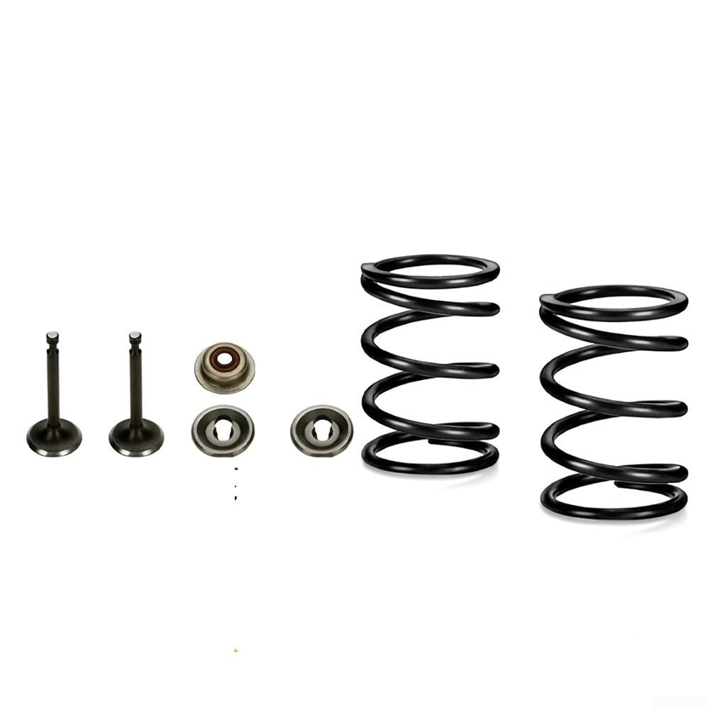 Kit di fermo della molla della valvola di scarico dell'aspirazione compatibile con GX160 per GX200 per operazioni di ricostruzione del motore (188F-190F)