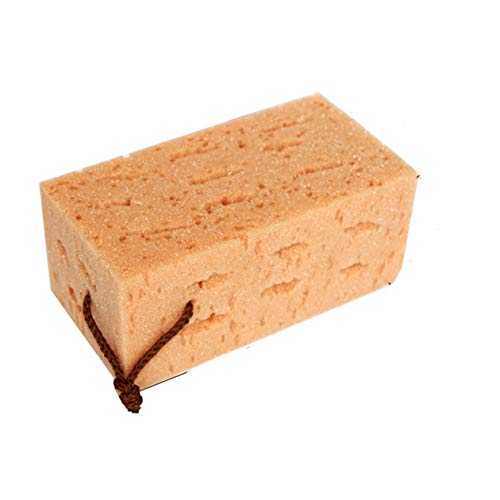 Auto Auto Veicolo Lavaggio Spugna Pulizia Auto