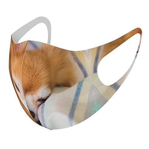 [X}R] fUC }XN QZbg |GXe 􂦂 z}XN XLTCY 傫 jp 014826  ` ʐ^