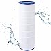 PELLUCID Pool Filter Cartridge Compatible with PAP200, CC200, Unicel C-9419, Ultral-C5, PP-C5, Filbur FC-0688, R173217, 59054400, Aladdin 29902, Baleen AK-8005, Pool Filters Easy to Clean and Reuse.