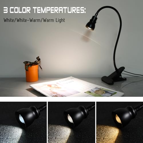 Lampe de bureau à LED avec zoom spot de lecture à intensité variable