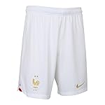 NIKE France DN0731 Season 2022/23 Official Shorts Men's White/White/Metallic Gold S