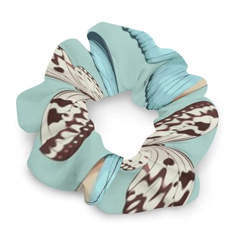 VV  Jt  o^tC VV wAoh ~ wAVV  wAANZ wAS wAS  wAANZT[ Xgoh Vv 킢 GKg  JWA ʋ ʊw ʐ^Be ig