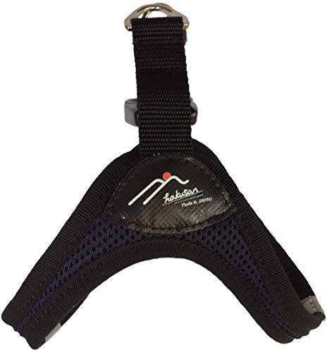 Hakusan(nNT) C[W[RtH[gn[lX lCr[ 3XLTCY