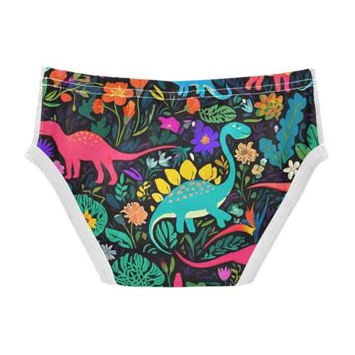 Cute Dinosaurs Toddler Boy's Underwear 2T 202c12012