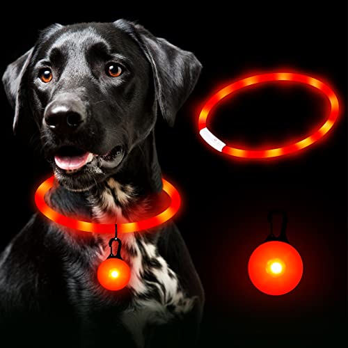 FORMIZON Collier Chien Lumineux 2 Pièces, Collier LED pour Chien Rechargeable USB, 4 Modes Imperméable Collier Lumineux Réglable, Collier pour Chiens de sécurité pour Petits, Moyens et Grands Chiens Cover