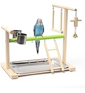 Acsist Birds Playground Parrot Playstand Birds Perch Stand Gym Natural Wood Play Stand with Ladde...