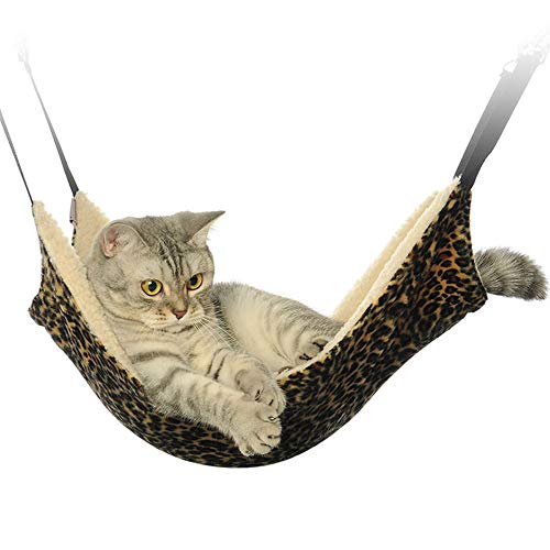 Best Cat Hammock For Cage