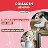Pet Collagen Supplement - Grass Fed Beef Hydrolyzed - Natural Beef Flavour - Joint Care - Mobility & Health - Gluten, GMO & Sugar Free - for Dog & Cats - Made in Canada - 500ml