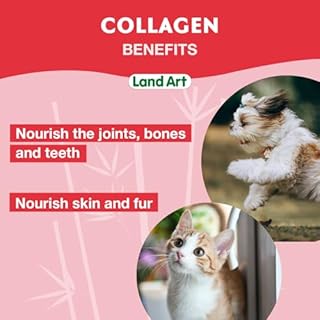Pet Collagen Supplement - Grass Fed Beef Hydrolyzed - Natural Beef Flavour - Joint Care - Mobility & Health - Gluten, GMO & Sugar Free - for Dog & Cats - Made in Canada - 500ml