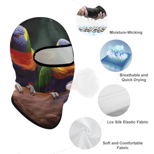 Balaclava para hombre y mujer, máscara para esquí con diseño de loros arcoíris, cubreboca completo para ciclismo miniatura 3