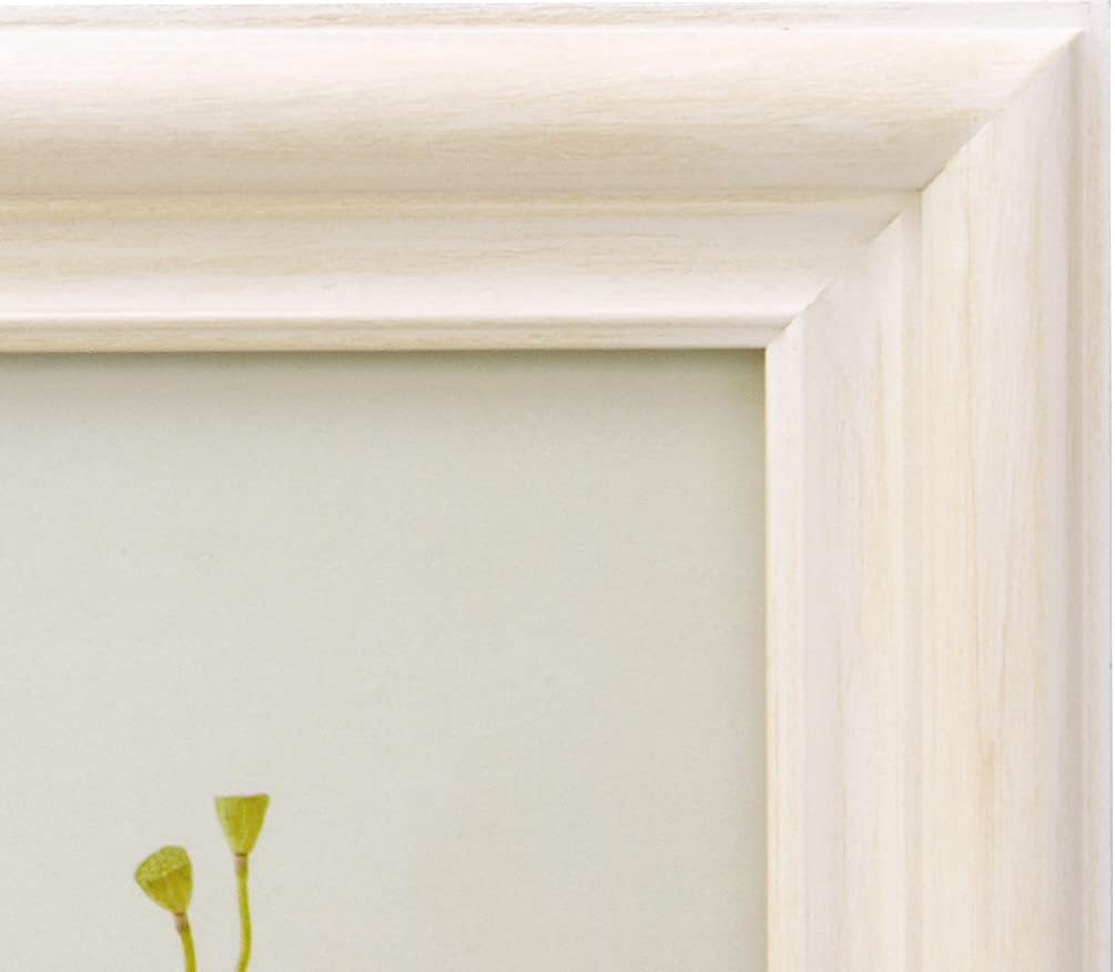 LADONNA AVANTI DF44-2L-WH Wood Photo Frame, Size 2L, White