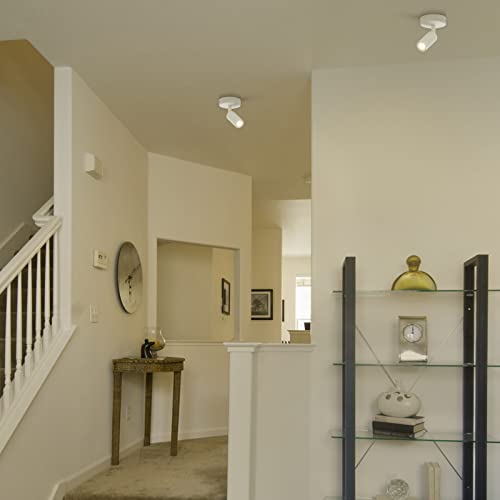 Eofiti 2 Pcs Faretti da Soffitto Orientabili