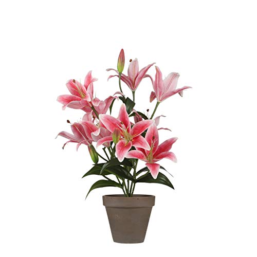 Mica Decorations Tiger Lilien - Planta Artificial (47 cm), Color Fucsia