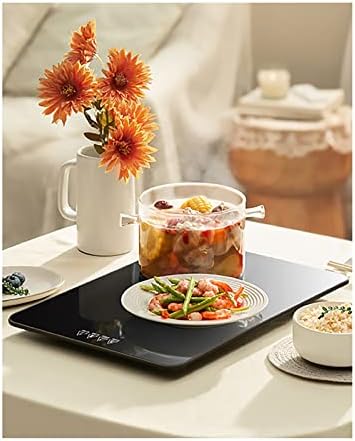 Electric Food Warmer Plate, Buffet Server Food Warming Tray Electric Warming Tray 18.9x11 Electric Dishes Warming Hot Plate Multifunctional Hotplates for Buffets Parties Office
