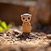 Adopt Me! Pets Multipack Animal Life - Hidden Pet - Top Online Game, Exclusive Virtual Item Code Included - Fun Collectible Toys for Kids