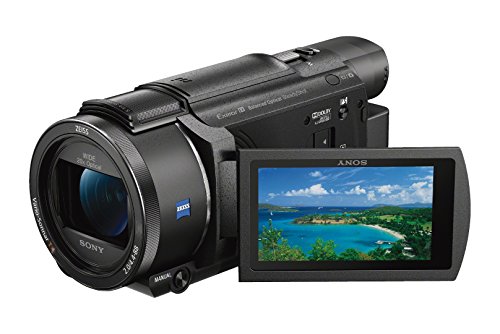 Sony Fdr-Ax53 Uhd 4K Handycam Camcorder With 55Mm Uv Protector And 64Gb Accessory Bundle (11 Items) #TOP1