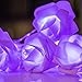 Avanti 20 Led Battery Operated String Romantic Rose Flower Fairy Light Lamp Outdoor for Valentine's Day, Wedding, Room, Garden, Christmas, Patio, Festival Party Decor (Purple)
