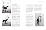 Die José-Arce-Methode: Liebe Deinen Hund. Wie Sie beim Gassigehen die Beziehung stärken (GU Mensch-Hund-Beziehung)