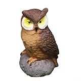 Complète la mousse et les éléments paysagers : la décoration hibou se marie bien avec la mousse ou d'autres éléments de paysage. Son design permet une intégration parfaite dans les terrariums recouverts de mousse, créant une scène captivante qui donne vie à l'essence de la nature.