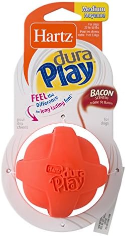 equine pine cat litter