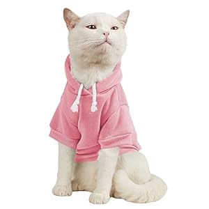 QWINEE Basic Dog Hoodie, Dog Warm Jacket, Cat Apparel, Dog Shirt, Dog Clothes for Puppy Kitten Small Medium Dogs Cats Light Pink X-Small