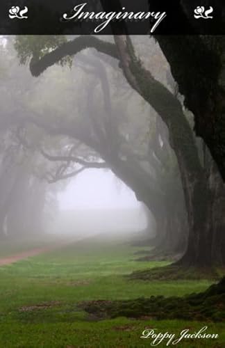 Imaginary 1300242345 Book Cover