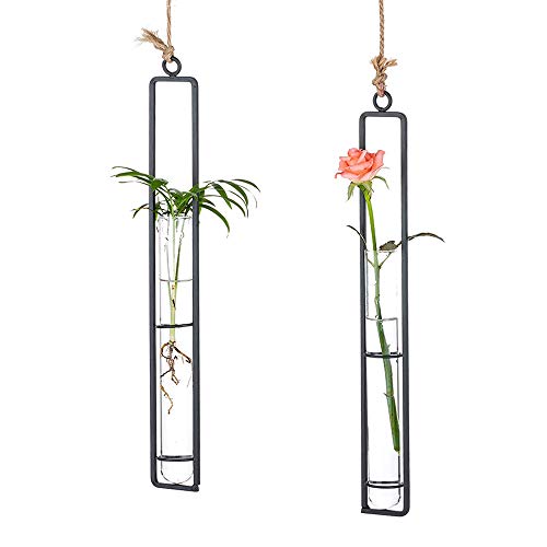 Sziqiqi Hanging Clear Glass Propagation Tube Vase for Cuttings, Hydroponic Plant Propagation Home Balcony Floral Container Wall Decoration Black 2ps (L+L)