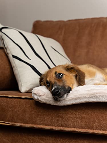 TrendPet Harmony 4cm gefütterte Hundedecke, Katzendecke, Liegedecke für Hunde und Katzen (Creme, 90x65cm)