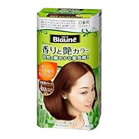ブローネ 液状ヘアカラー 3 明るい栗色 ブローネ 液状ヘアカラー 3 明るい栗色 - メルカリ