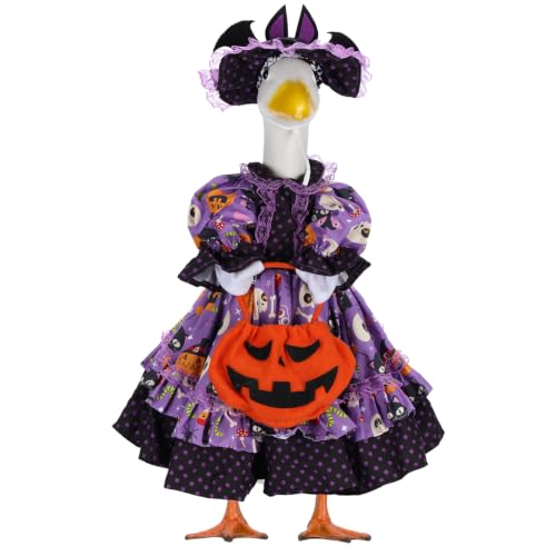 Halloween Witch Porch Goose Outfit