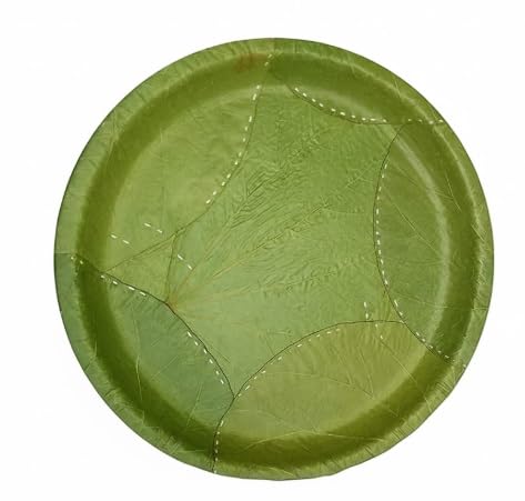 Biovinx Sal Leaf Round Plates, 11.5 Inch-Pack of 50 100% Compostable, Biodegradable, Chemical-Free, Heat-Resistant, Eco-Friendly, Handcrafted