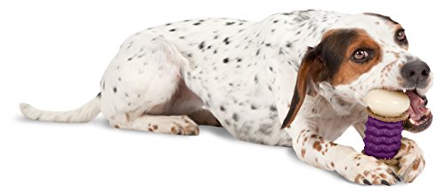 PetSafe Occupato Compagno Nobbly Nubbly