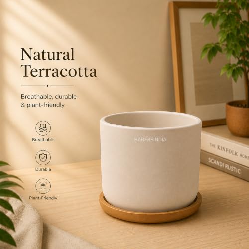 Image of Habere India-All the Cultures Fabricating India Plant Pot with Wooden Plate | Flower Pots for Dining Table & Home Decor | Terracotta Pot for Living Room Decoration (Multi, Dia11 x H9.5 cm)