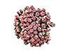 PL Set of 100 Tiny Rose Buds Mulberry Paper Flower Rose-Set3 Craft Handmade Wedding Size 0.15" Very Small Scrapbook for so Many Card Craft Projects (107-Dusty Pink) #1