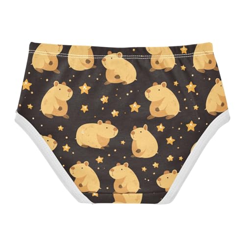 Wusikd Cute Capybara Girls' Underwear Cotton Stars Girls Briefs Soft Toddler Underwear 2T2