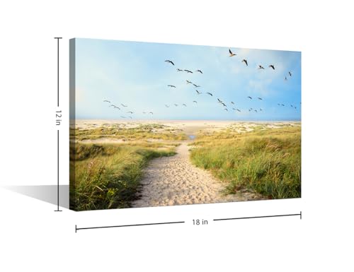 Affiches et impressions de plage cotiere emballees 45 cm