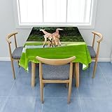 Treer Mantel Antimanchas Estampado de Jirafa 3D,Mantel Efecto Loto,Lavable Manteles de Mesa,Cuadrada Protector Mesa Comedor para Decoración Hogar Cocina Comedor Jardín (Jirafa 3,140x140cm)