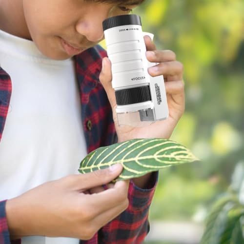Microscopio de mano ajustable de ciencia para estudiantes y educación interactiva 2