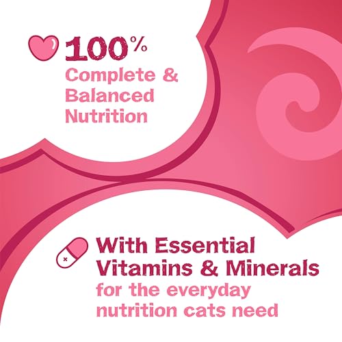 Friskies Gravy Swirlers Dry Cat Food - 7.26 kg Bag image 7