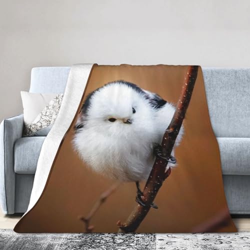 ׂĂ̋G߂ɓKĂ܂ Aj |ѕz 킢 4 |ѕz uPbg tl zc ϋN R AM[h~ g ۉV[c dy Q \t@ uPbg 80"X60"