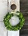 Preserved Boxwood Wreath