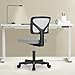 Sweetcrispy Office Desk Chair, Ergonomic Low-Back Mesh Rolling Work Swivel Chairs with Wheels, Armless Comfortable Seat Lumbar Support for Home, Bedroom, Study, Student, Adults,Classic Grey